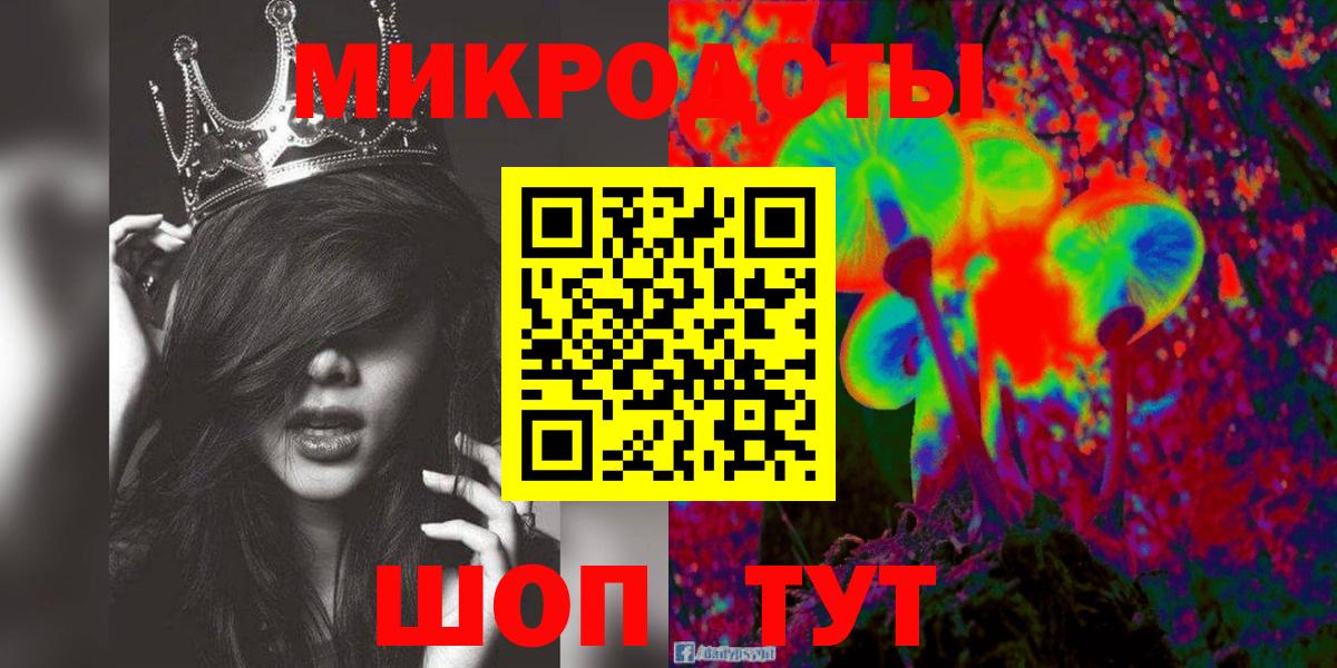 Псилоцибиновые грибы Cubensis Миллерово