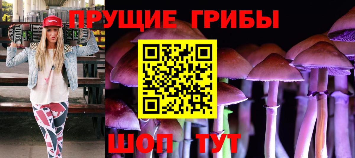 Миллерово  Псилоцибиновые грибы Psilocybine cubensis  наркотики  Вход с VPN 